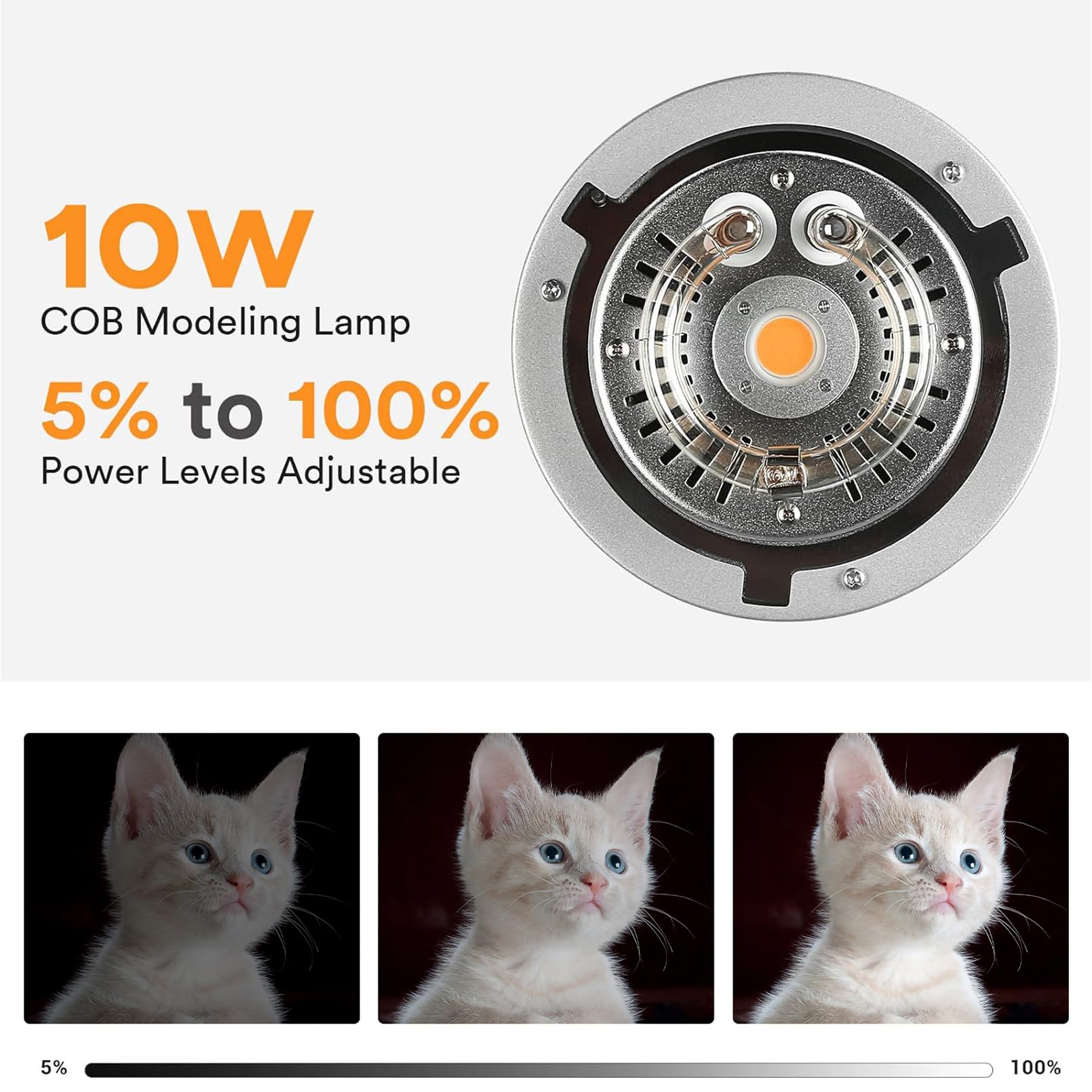 แฟลชสตูดิโอ Godox MS200V 200W  - Photography Lighting Portrait บทวิจารณ์และราคา